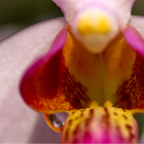 photoouting_botanicgardens-19